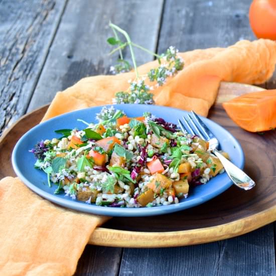 Farro and Persimmon Salad