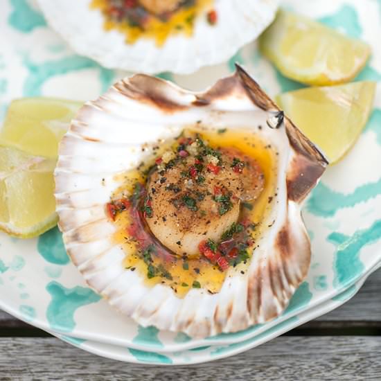 Scallops on the Half Shell