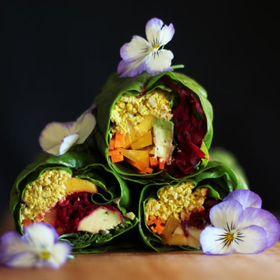 Summer Rolls with Curried Pate