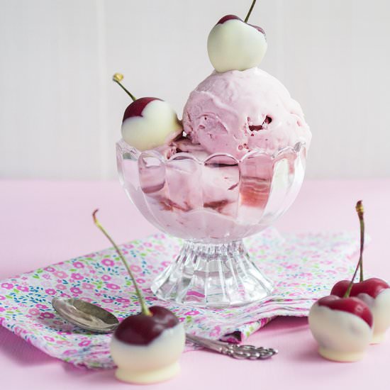 Raspberry Ice Cream