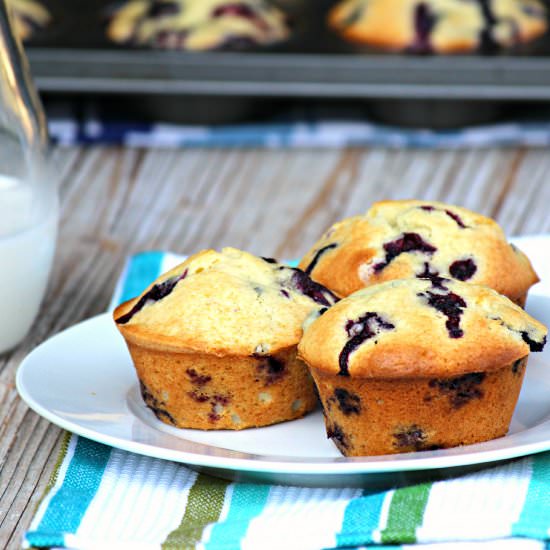 Home Style Blueberry Muffins