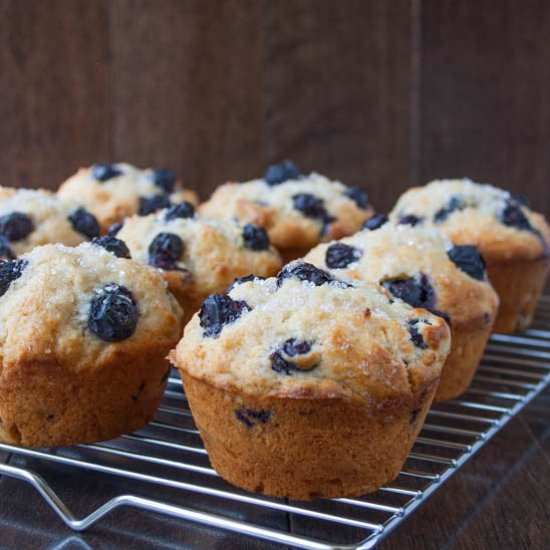 Blueberry Buttermilk Muffins