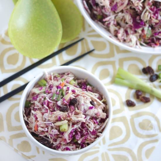 Sweet and Crunchy Chicken Slaw