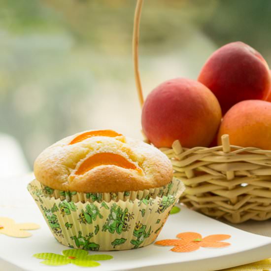 Apricot Honey Muffins