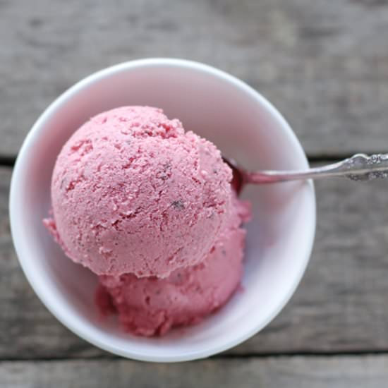 Paleo Raspberry Ice Cream