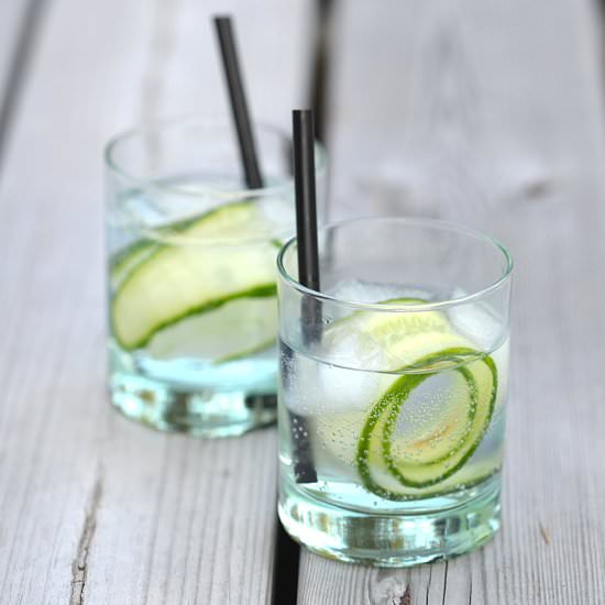 The Best Gin and Tonic