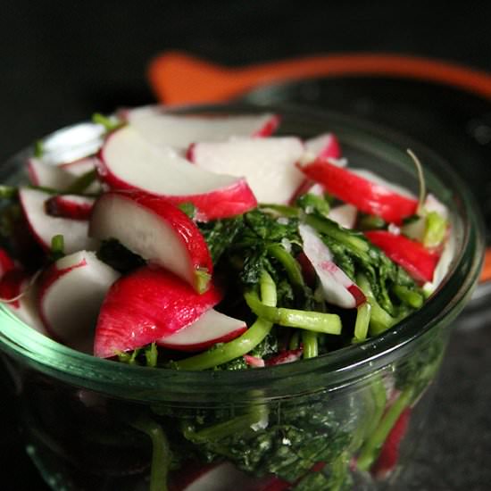Salted Radishes