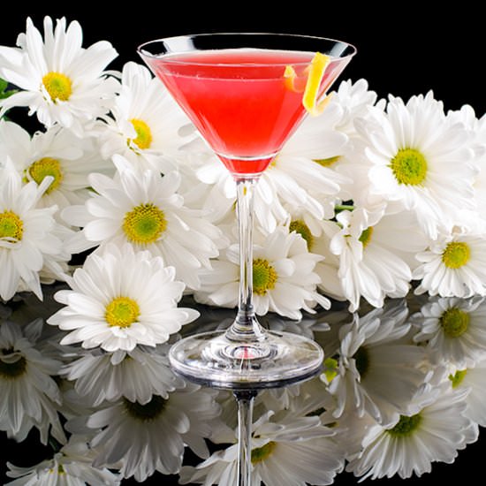 The Rum Daisy Cocktail
