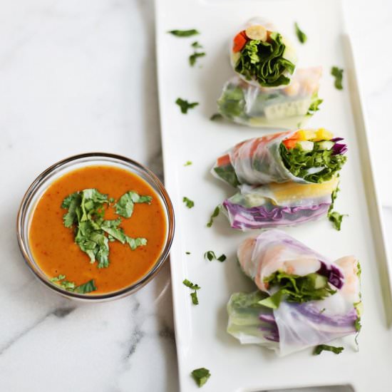 Spring Rolls + Spicy Peanut Sauce