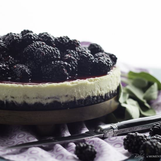 Blackberry Goat Cheese Cheesecake