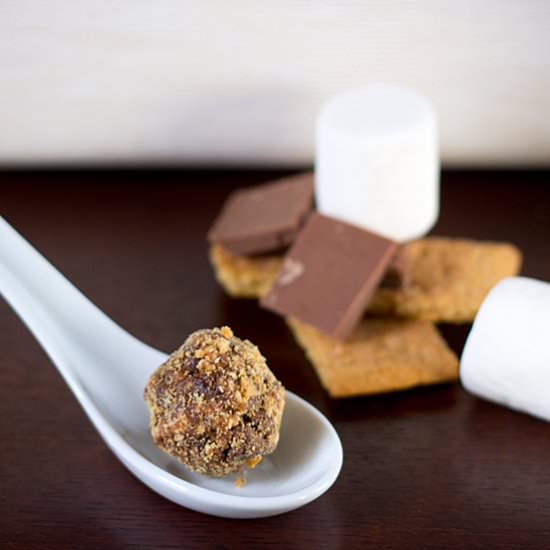 Healthy S’mores Bites