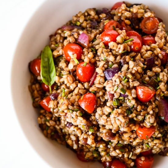 Best Ever Warm Summer Rice