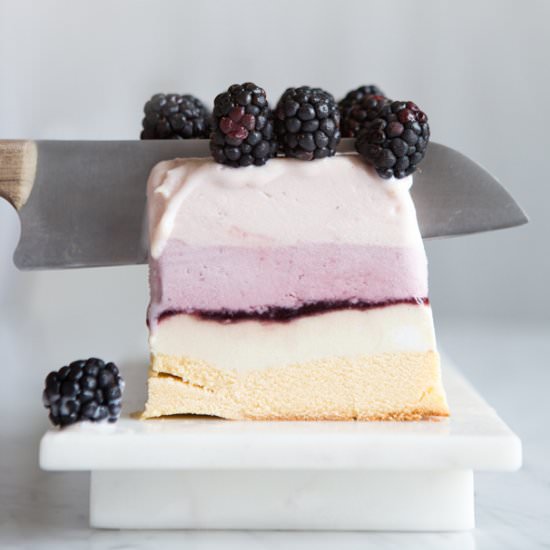 Summer Berry Ice Cream Cake
