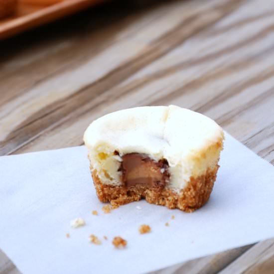 Peanut Butter Cup Mini Cheesecakes