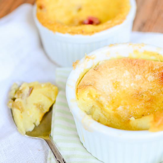 Ginger Spiced Rhubarb Custard