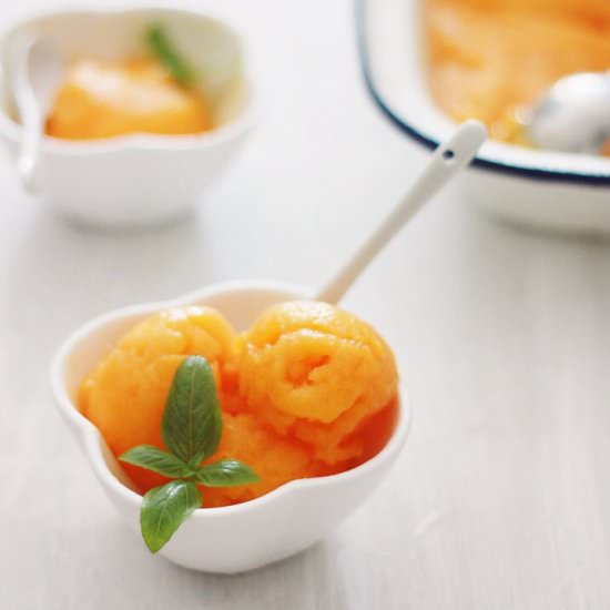 Fennel Infused Mango Sorbet