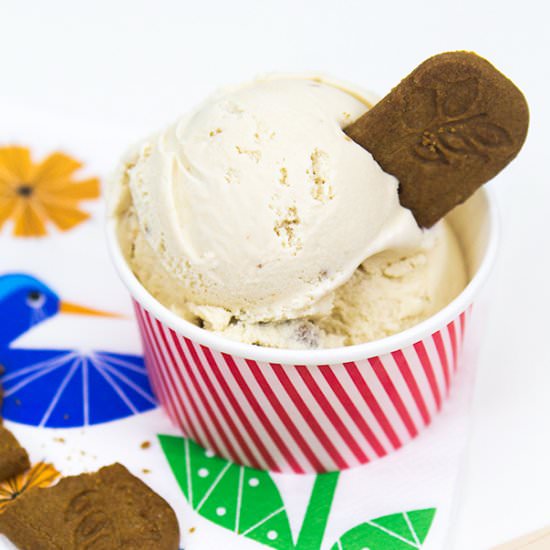 Cookie Butter Ice Cream