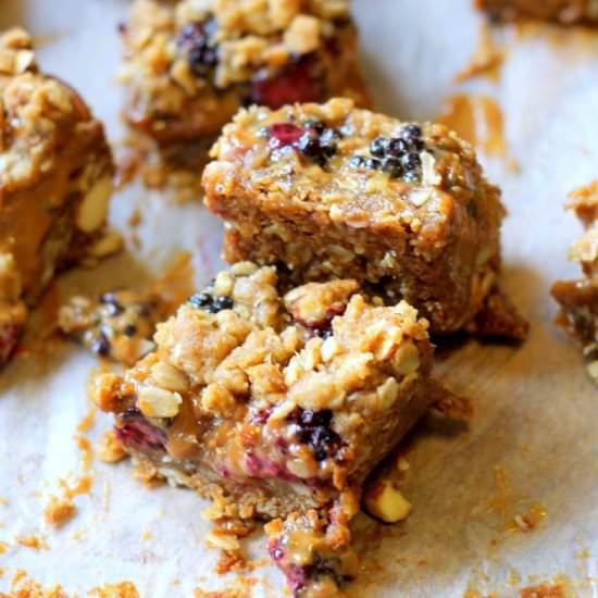 Blackberry Dulce De Leche Bars