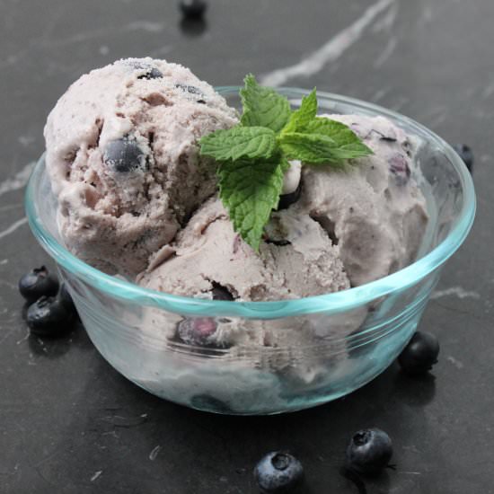 Homemade Blueberry Ice Cream