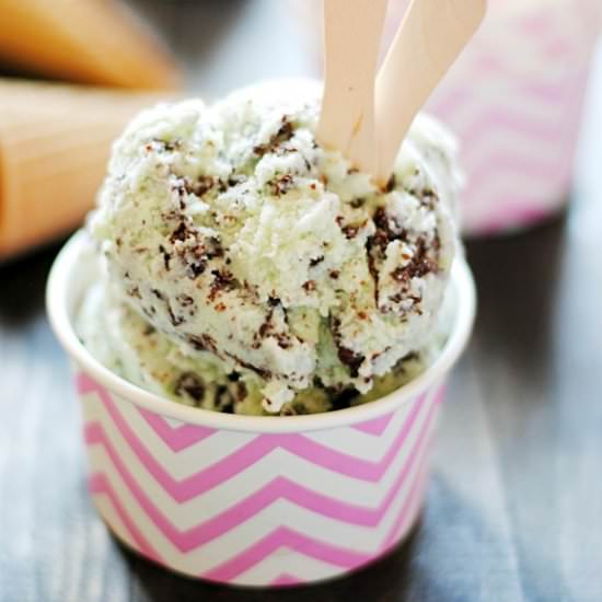 Mint Chocolate Chip Ice Cream