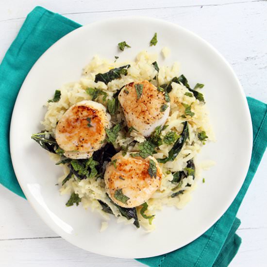 Kohlrabi Orzo with Scallops