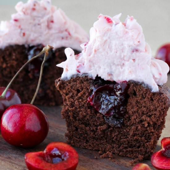 Double Chocolate Cupcakes