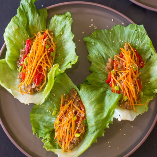 Vegan Asian Lettuce Wraps