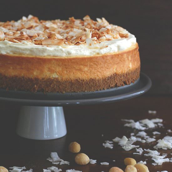 Coconut Macadamia Cheesecake