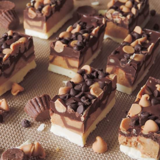 Triple Chocolate PB Bites