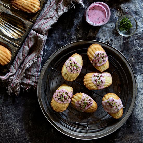 Lime and Hibiscus Madeleines