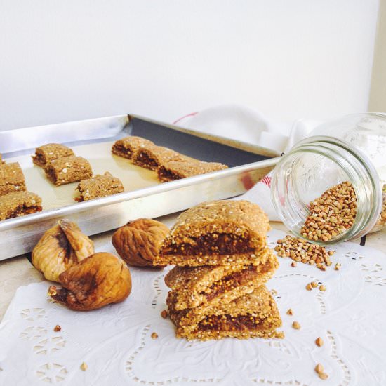 Raw Vegan Fig Rolls