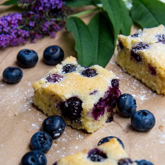 Blueberry and Almond Slice