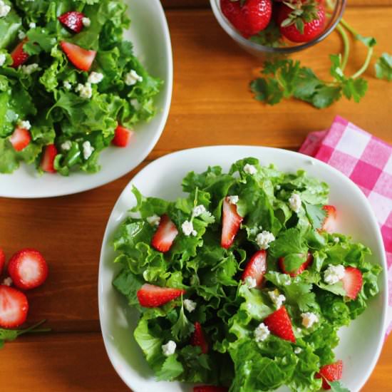 Berry Cilantro Bleu Cheese Salad