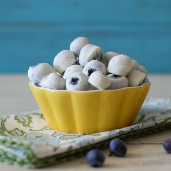 Frozen Yogurt Covered Blueberries
