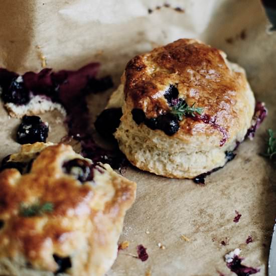 Perfectly Delicious Blueberry Scone