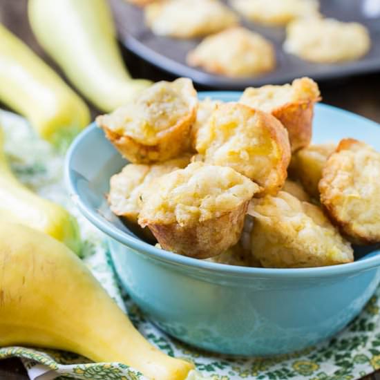 Summer Squash Muffins