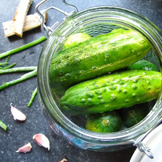 Polish dill pickles