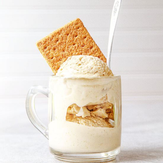 Graham Cracker Ice Cream