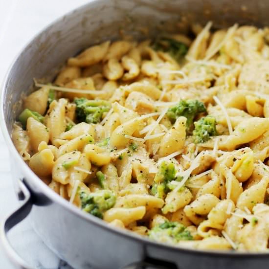 Chicken-Broccoli Shells and Cheese