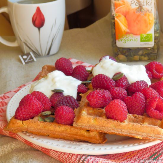 Vegan Chickpea Flour Waffles