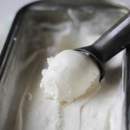 Vanilla Frozen Yogurt