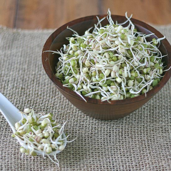 Sprouted Beans