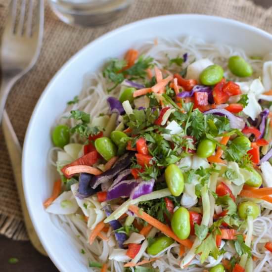 Asian Salad Sesame Ginger Dressing