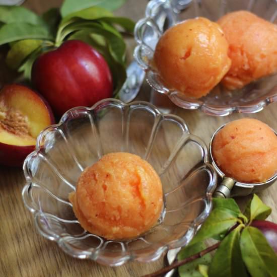 Nectarine Sorbet