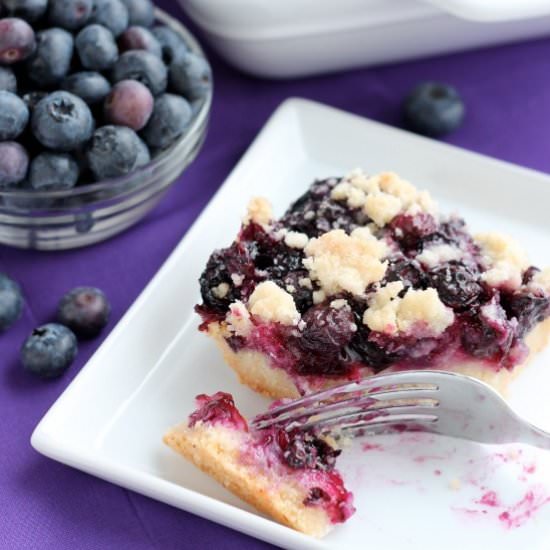 Blueberry Crumb Bars
