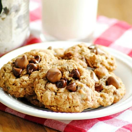Oatmeal Chocolate Chip Cookies
