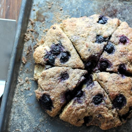 Blueberry Greek Yogurt Scones