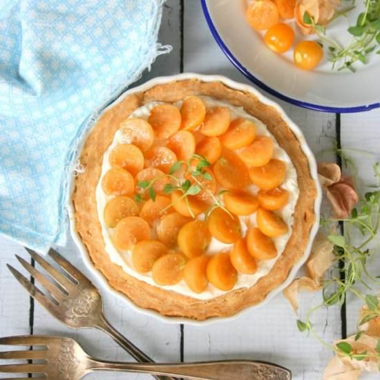 Ground Cherry Pie