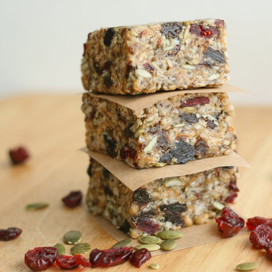 Fuel to Go Homemade Protein Bars