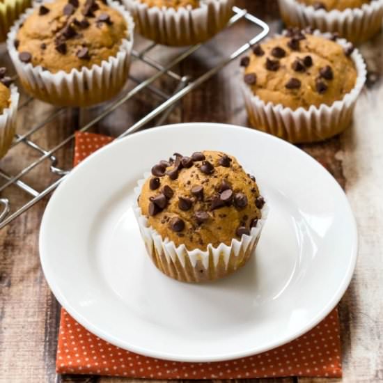 Pumpkin Chocolate Chip Muffins